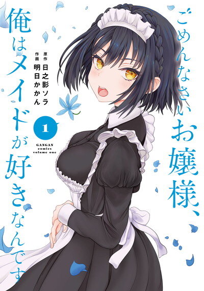 Gomennasai Oujou-sama, Ore wa Maid ga Sukinan desu