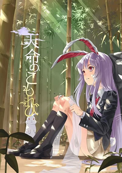Touhou project Rabbit lost wing By otomeza ryuseigun